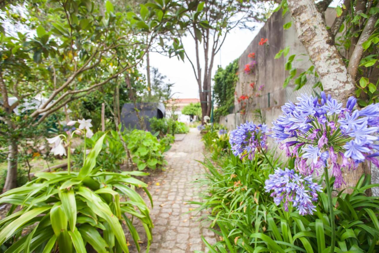 Beautiful Country House&Romantic Garden Sintra Kültér fotó