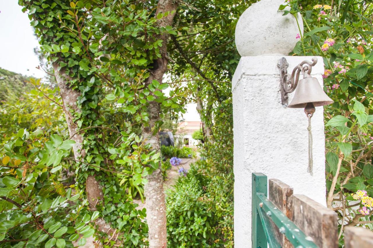 Beautiful Country House&Romantic Garden Sintra Kültér fotó