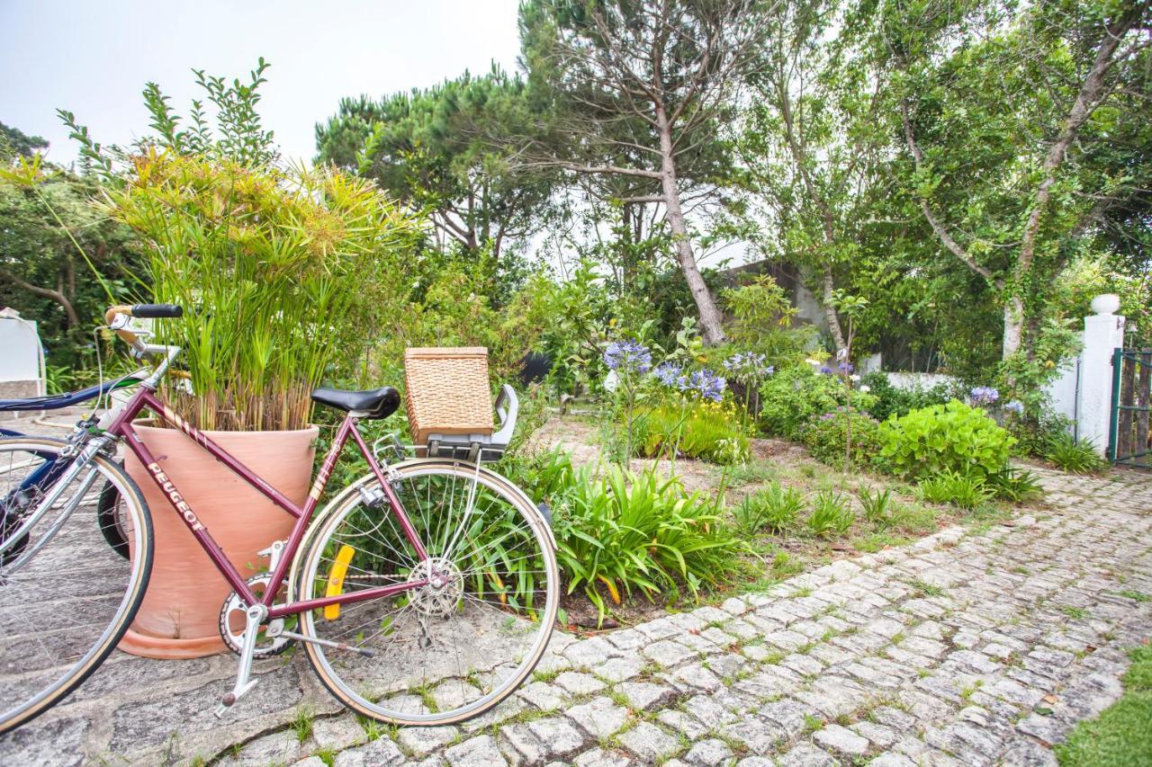 Beautiful Country House&Romantic Garden Sintra Kültér fotó